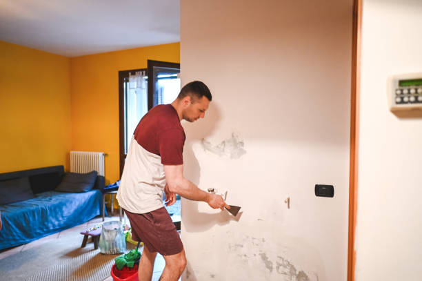 Best Mold Remediation for Specific Building Types in Southside, AR